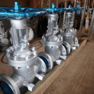 浙江可诺泵阀 行业先锋与创新发展之路